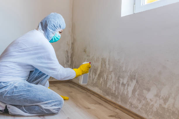 Licensed Mold Testing service in Lake Bluff, IL - WQB Mold Removal