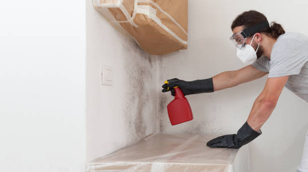 Professional Mold Testing technician working in Lake Bluff, IL