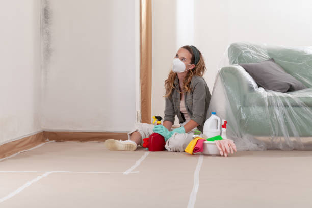 Reliable Mold Testing contractor in Lake Bluff, IL by WQB Mold Removal